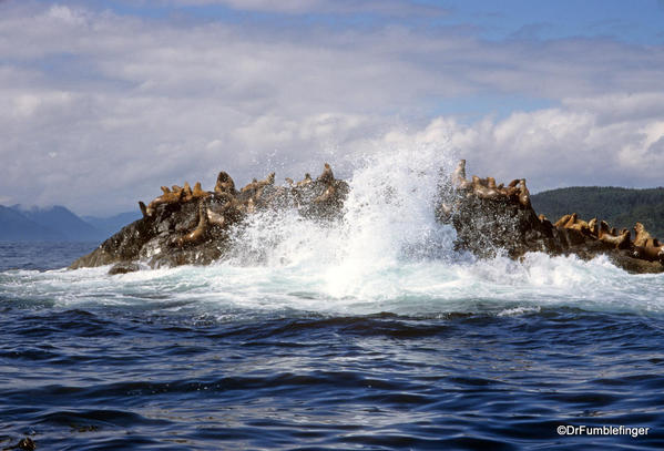 Seal Rock, Haida Gwaii