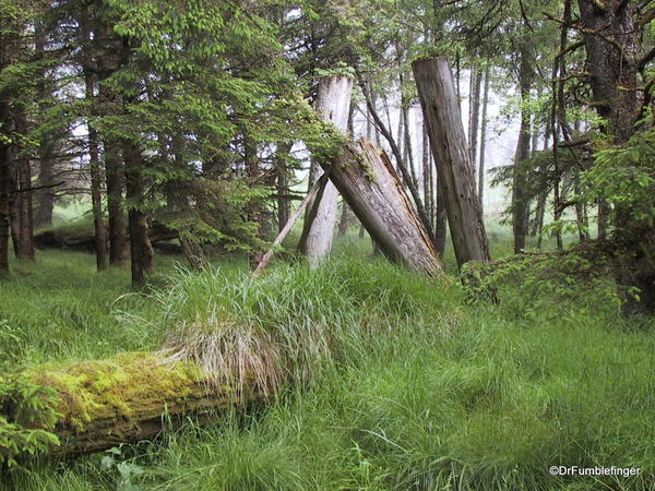 Louise Island, Haida Gwaii, Skedans Village