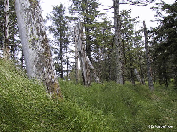 Louise Island, Haida Gwaii, Skedans Village