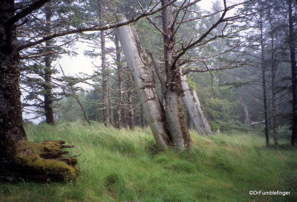 Louise Island, Haida Gwaii, Skedans Village Totems