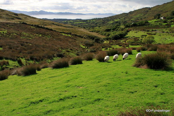 View from Staigue Fort