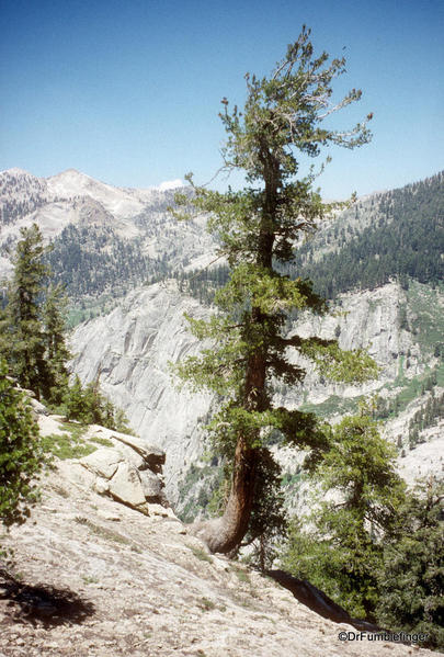 Topokah Valley, The Lakes Trail, Sequoia National Park