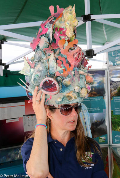 Weymouth Seafood festival-5