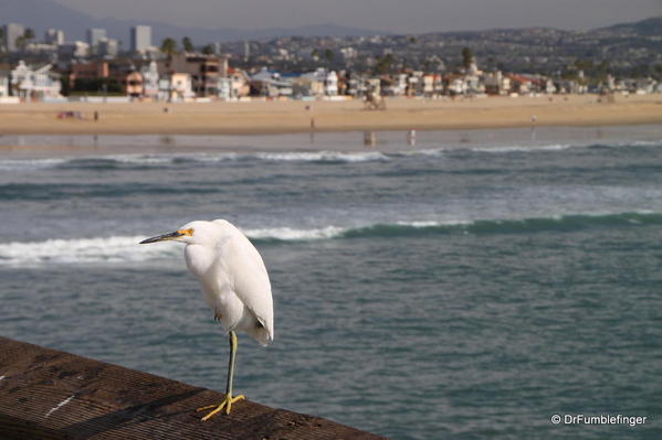 Winter 2010 340 Newport Beach Pier.