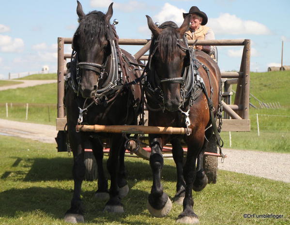 Bar U Ranch Cowboy and his wagon