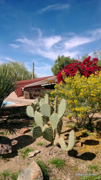 Taliesin West: Frank Lloyd Wright’s winter home