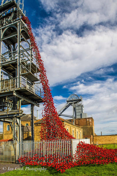 Poppies: Weeping Window at Woodhorn