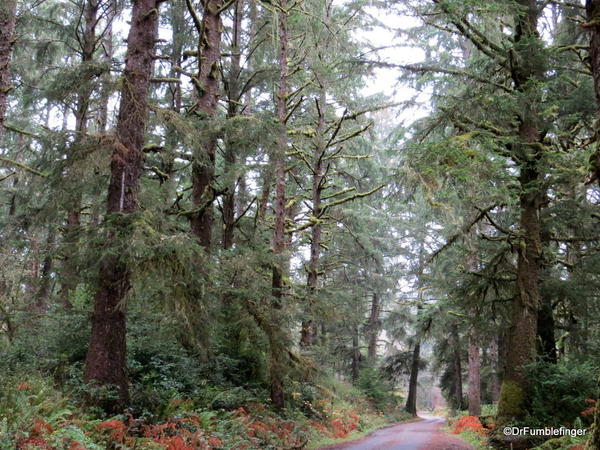 Leadbetter State Park, Long Beach Peninsula