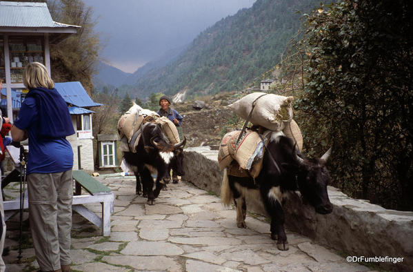 Packing goods into the Khumbu