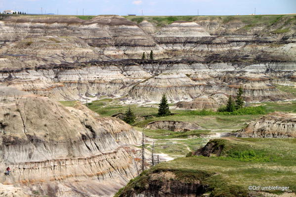 Horseshoe Canyon, viewed from the Canyon Rim