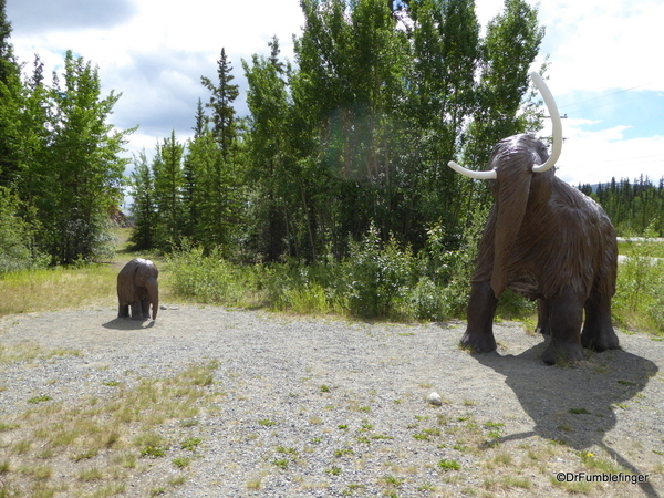 00b Yukon Beringia Center (6)