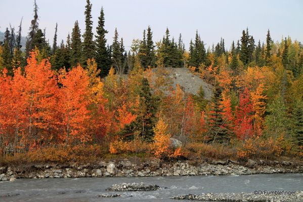 01-Fall Colors, Matanuska (2)