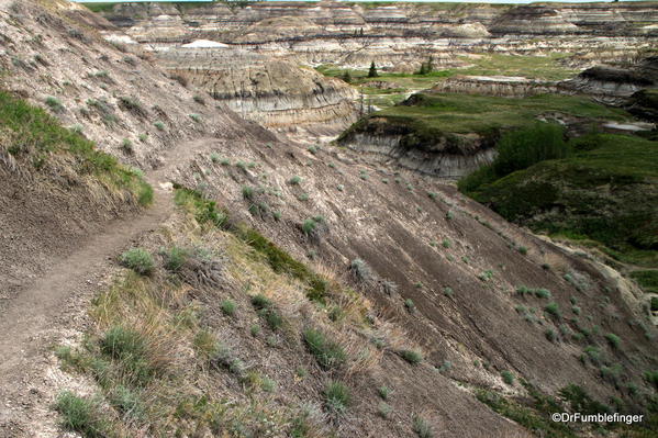 Path descending into Horseshoe Canyon