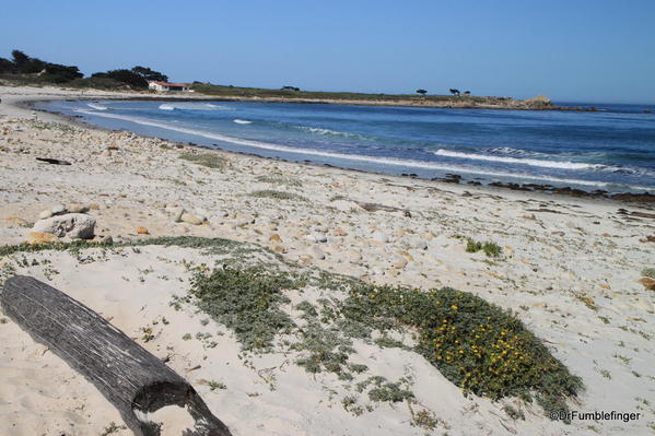 Seventeen Mile Drive, Beach