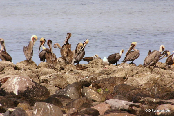 012 baja-california-lapaz-2005-023