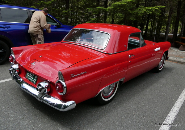 01 1955 Ford Thunderbird