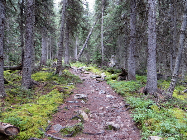 01 Annette Lake, Banff NP