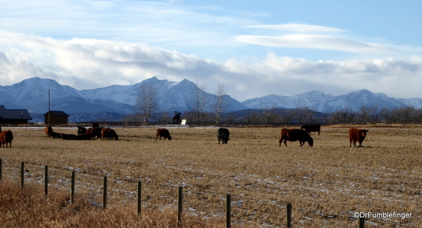 01 Bar U Ranch in January (2)