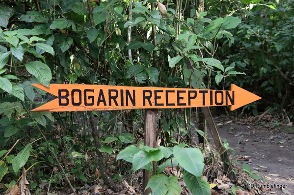 01 Bogarin Trail