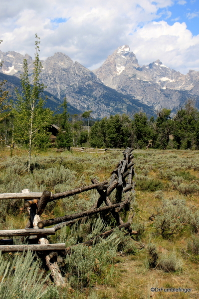 01 Buckrail fencing, Grand Teton National Park