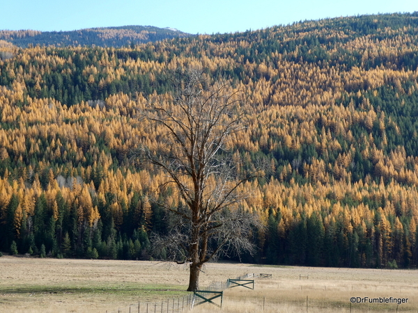 01 Crowsnest Pass (4)