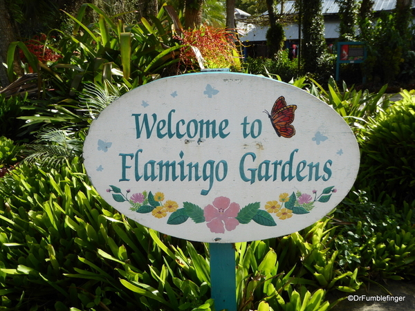 01 Flamingo Gardens