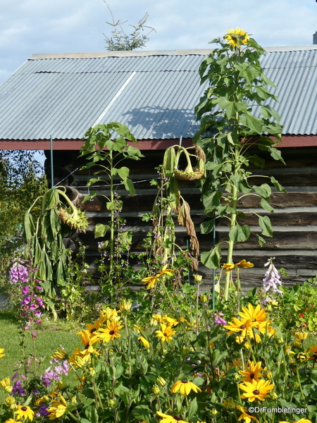 01 Gould Cabin, Fairbanks