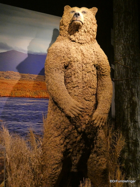 01 Kodiak National Wildlife Refuge Visitor Center