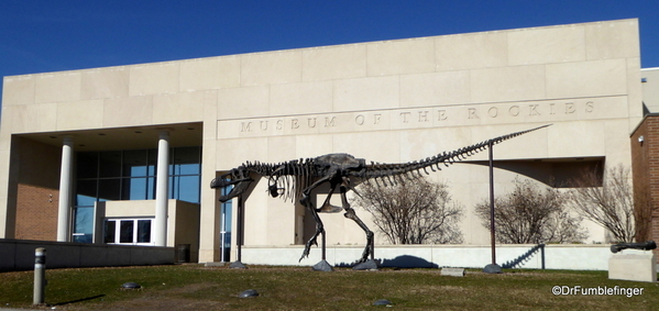 01 Museum of the Rockies, Bozeman (2)