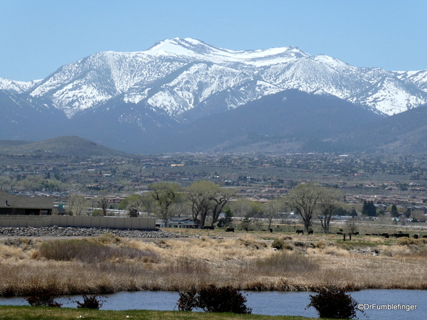 01 Reno wetlands