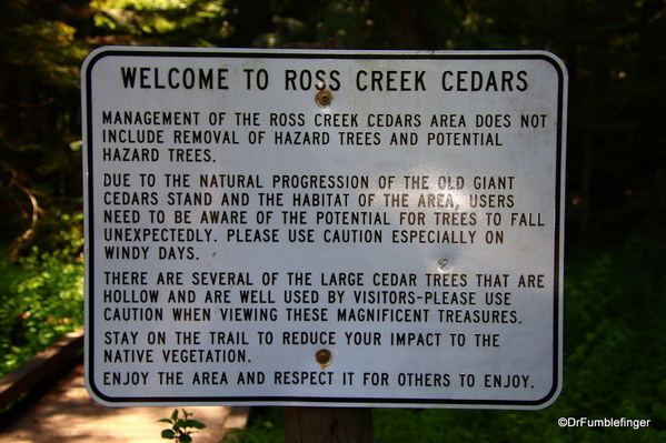 01 Ross Creek Cedars