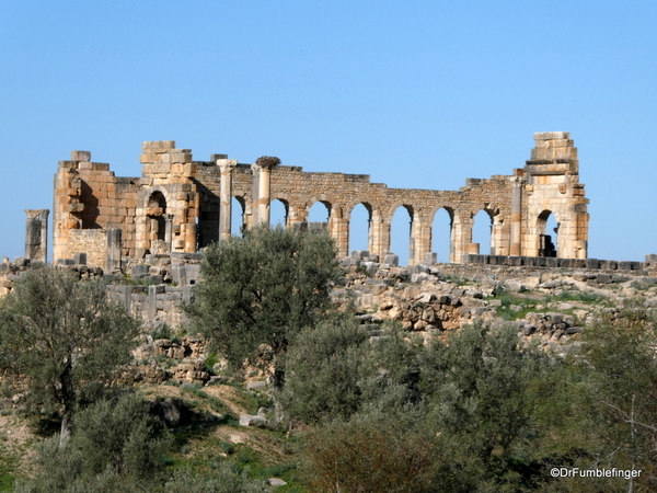 01 Volubilis