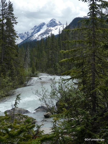 01 Yoho River