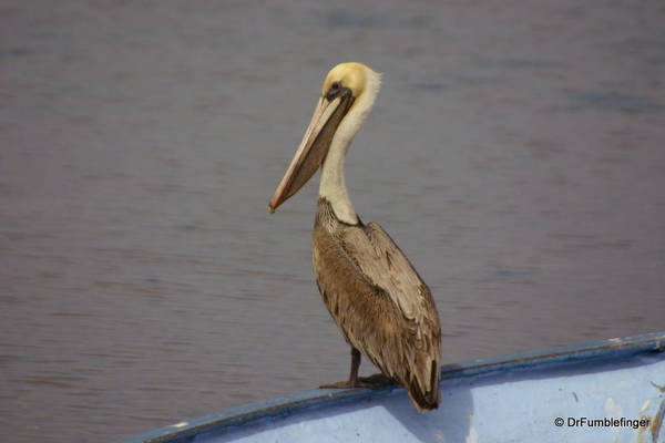 013 baja-california-lapaz-2005-024