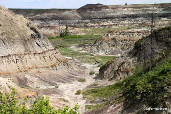 Path descending into Horseshoe Canyon