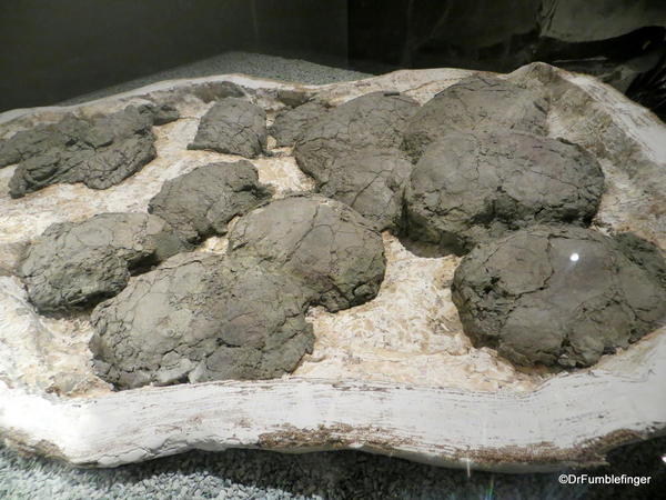 014 Royal Tyrrell Museum, Drumheller. Dinosaur eggs. Devil