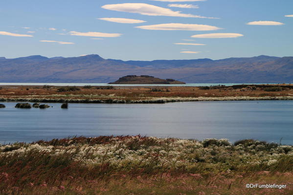 El Calafate, Argentina. Laguna Nimez Nature Preserve