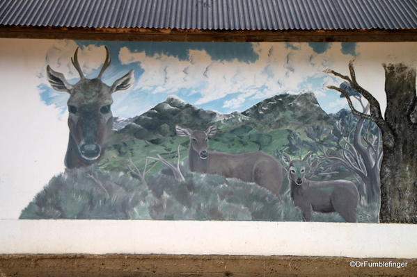 Street art, El Calafate