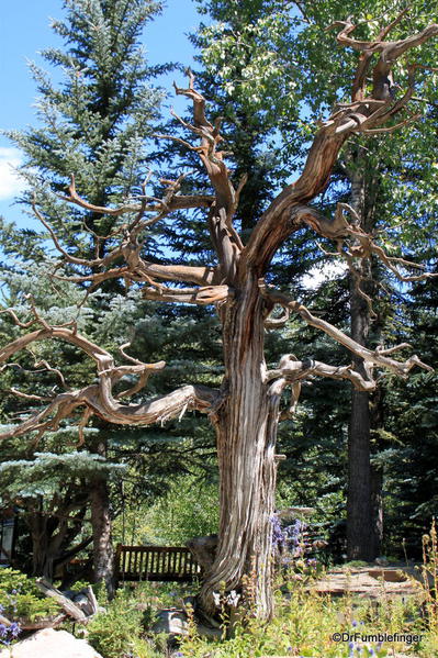 Betty Ford Alpine Garden, Vail