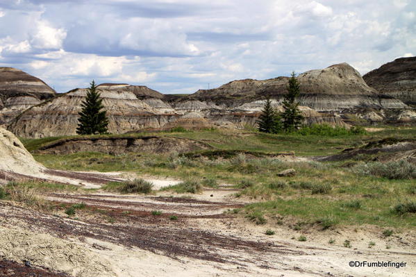 Scenery on the floor of Horseshoe Canyon