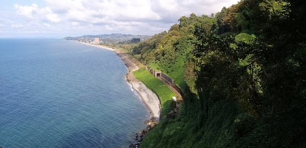 02 2019-10-27 Georgia Batumi Botanical Garden Mtirala National Park 47