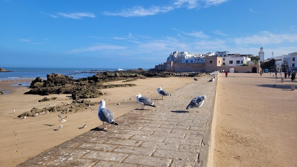 02 2023-09-14 Morocco Essaouira City Tour 021