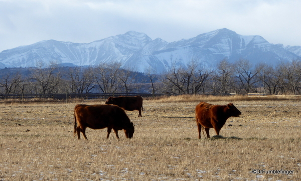 02 Bar U Ranch in January (3)