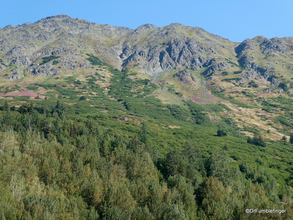 02 Cook Inlet (24)