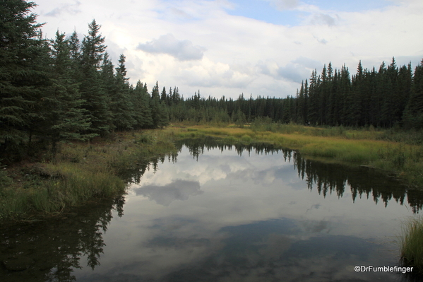 02 Denali Horseshoe Lake Hike