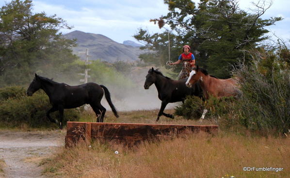 02 Hotel Las Torres, Torres del Paine (35)