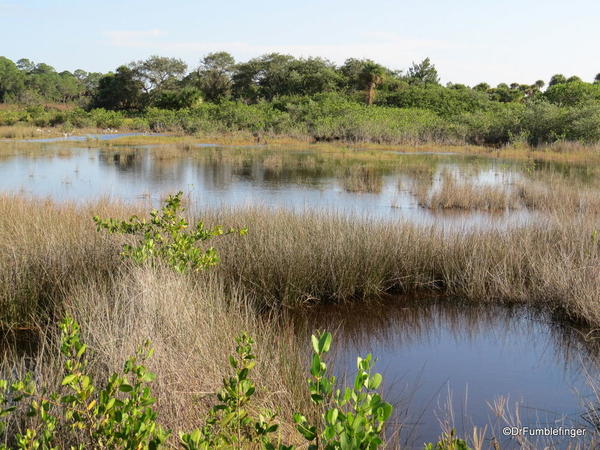 Merritt Island NWR.