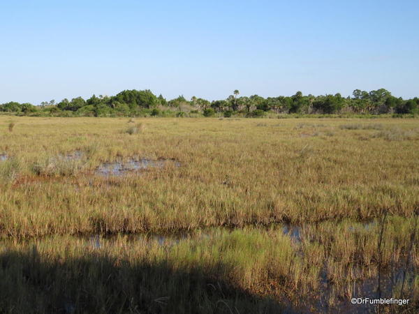 Merritt Island NWR.