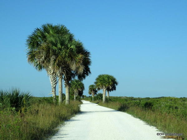 Merritt Island NWR.