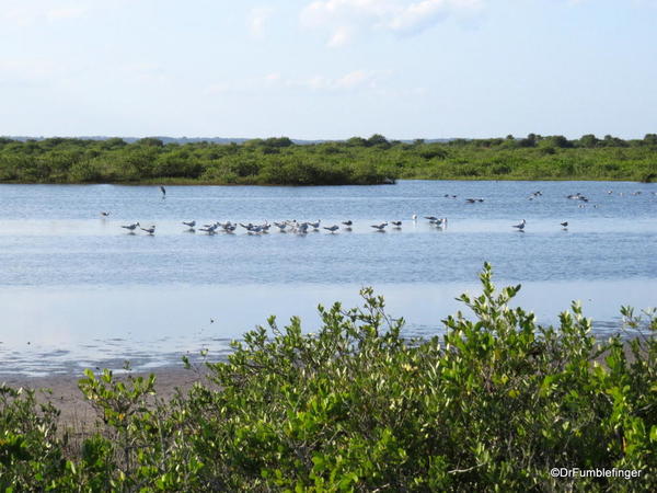 Merritt Island NWR.